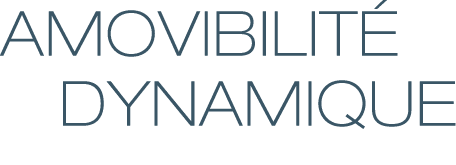 Amovibilit     dynamique